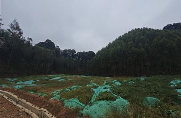 田林县潞城风电场二期100MW风电项目竣工环境保护验收结果公示 