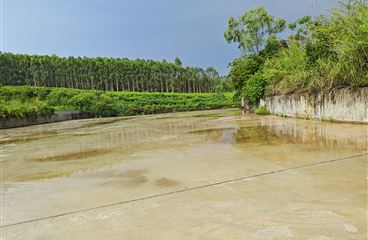 南宁市江南区六桃水库除险加固工程水土保持设施验收通过的公示