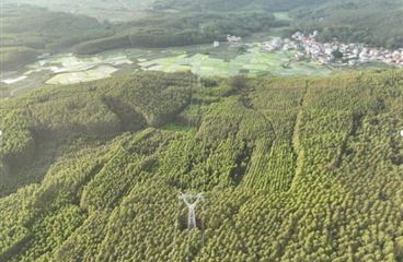 融安白云岭风电场三期、四期工程220千伏送出工程竣工环境保护验收公示